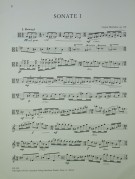 Notenbeispiel / Music example Viola