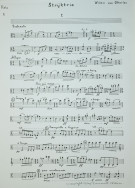 Notenbeispiel / Music example Viola